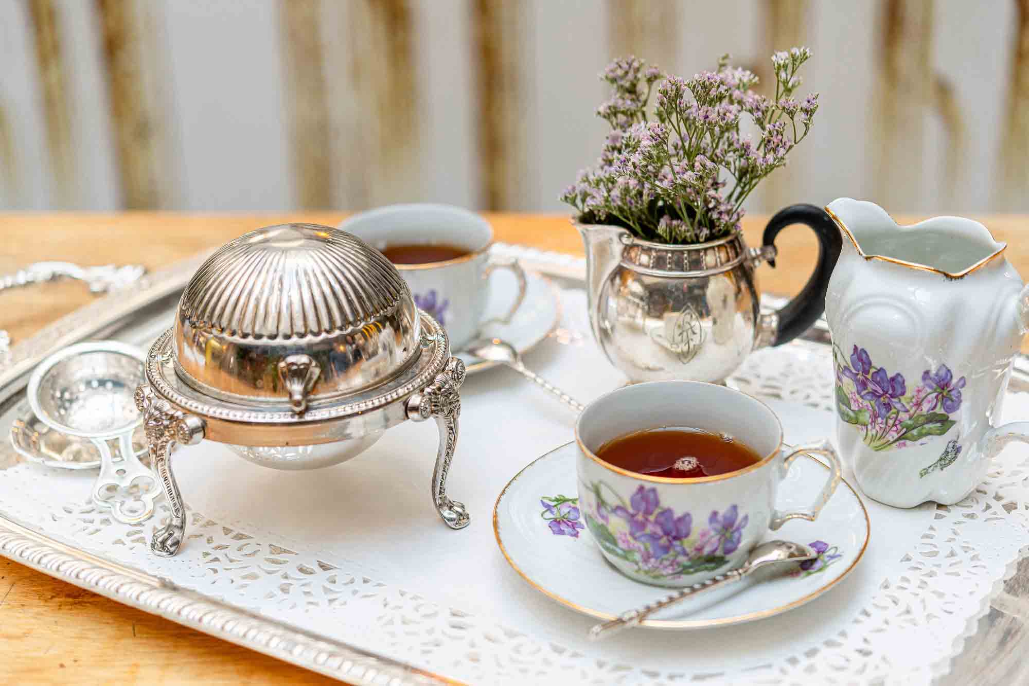 Ambiance douce avec chats